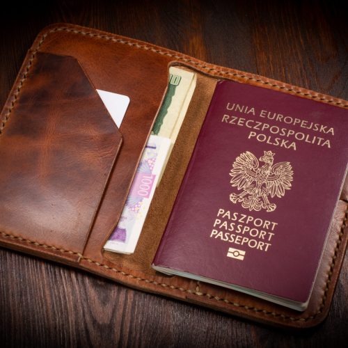 Etui podróżne na paszport - Passport Case No. 1