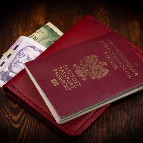 Etui podróżne na paszport – Passport Case No. 2
